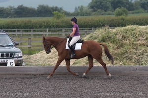 ISIS Dressage Challenge 2008